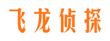 渑池市侦探公司